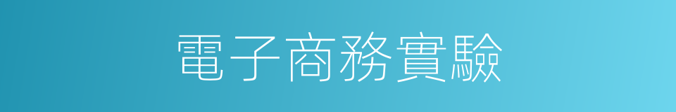 電子商務實驗的同義詞