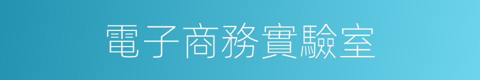 電子商務實驗室的同義詞