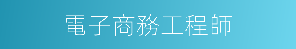 電子商務工程師的同義詞