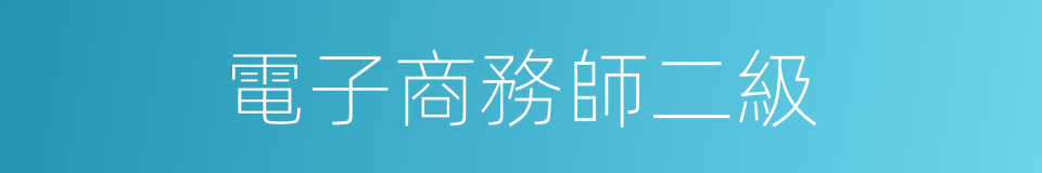 電子商務師二級的同義詞