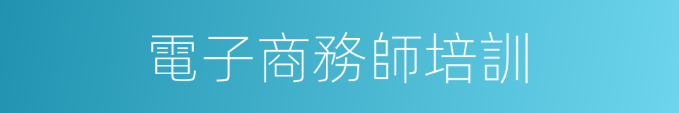 電子商務師培訓的同義詞