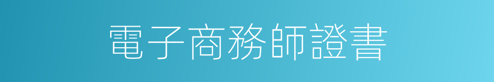 電子商務師證書的同義詞