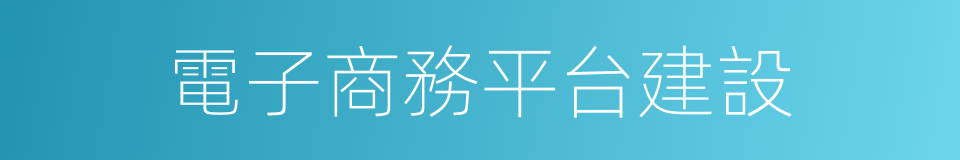 電子商務平台建設的同義詞