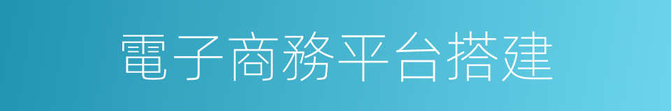 電子商務平台搭建的同義詞