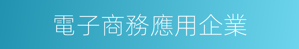 電子商務應用企業的同義詞