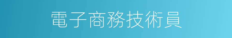 電子商務技術員的同義詞