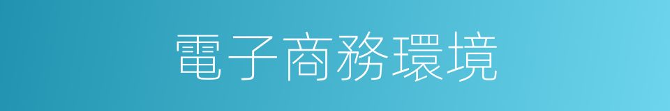 電子商務環境的同義詞