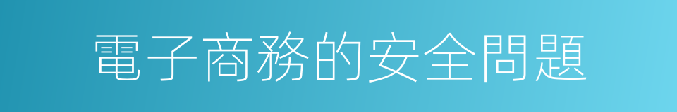 電子商務的安全問題的同義詞