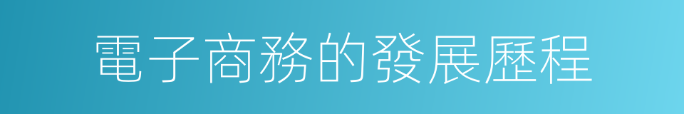 電子商務的發展歷程的同義詞