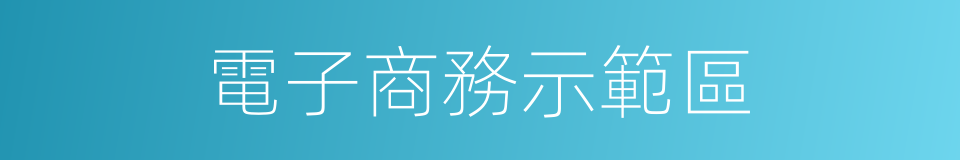 電子商務示範區的同義詞