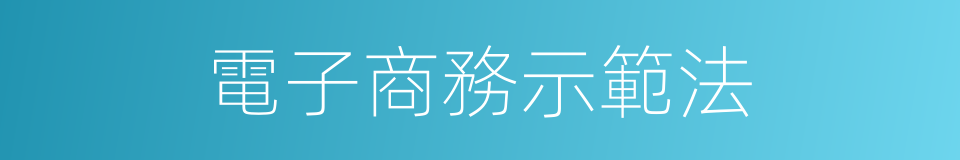 電子商務示範法的同義詞