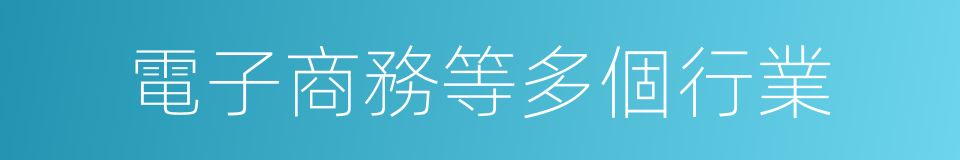 電子商務等多個行業的同義詞