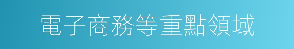 電子商務等重點領域的同義詞