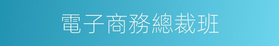 電子商務總裁班的同義詞