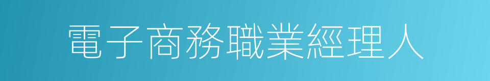 電子商務職業經理人的同義詞