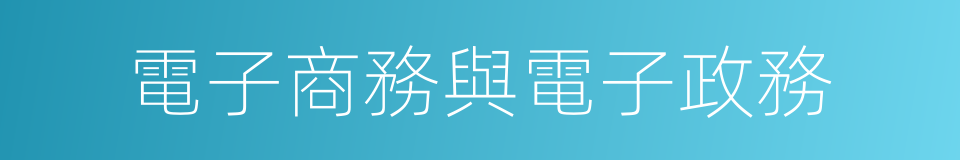 電子商務與電子政務的同義詞