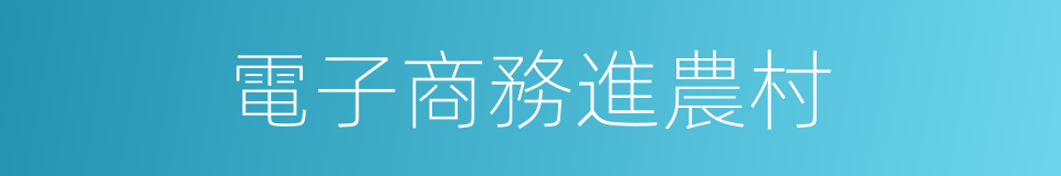 電子商務進農村的同義詞