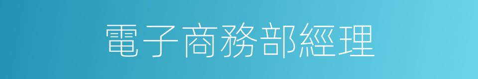 電子商務部經理的同義詞