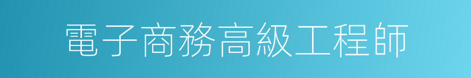 電子商務高級工程師的同義詞
