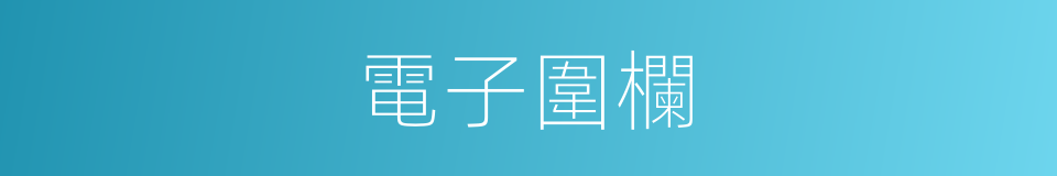 電子圍欄的同義詞