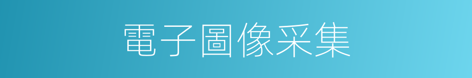 電子圖像采集的同義詞