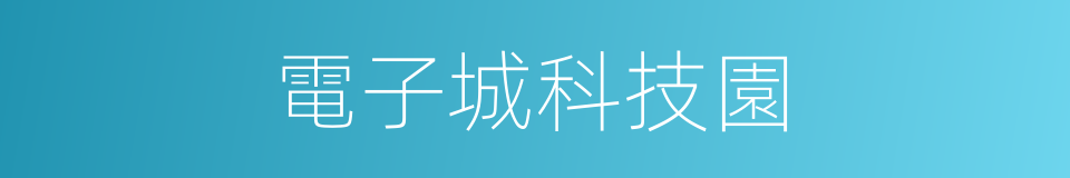 電子城科技園的同義詞