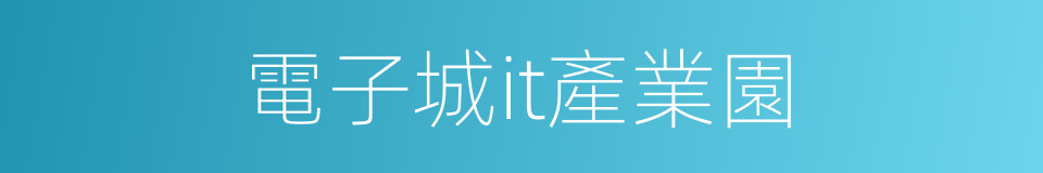 電子城it產業園的同義詞