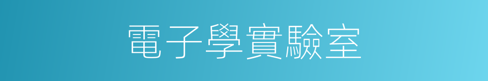 電子學實驗室的同義詞