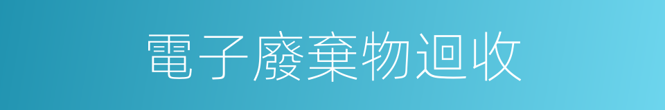 電子廢棄物迴收的同義詞