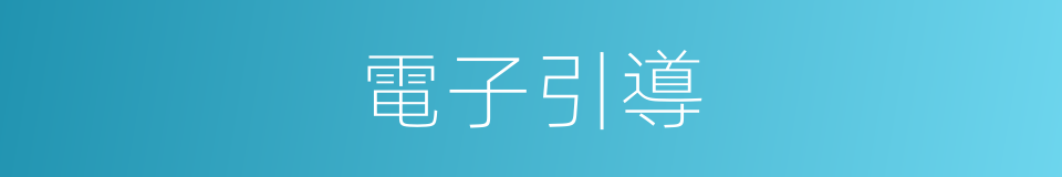 電子引導的同義詞