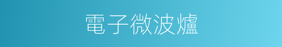 電子微波爐的同義詞