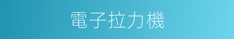 電子拉力機的同義詞