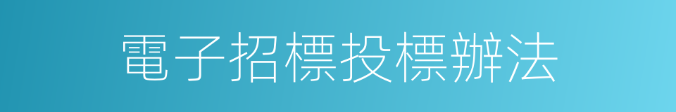電子招標投標辦法的同義詞