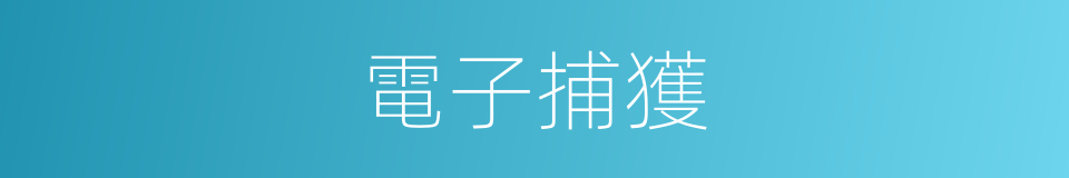 電子捕獲的同義詞