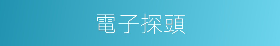 電子探頭的同義詞