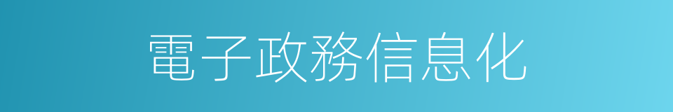 電子政務信息化的同義詞