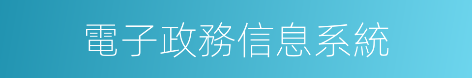 電子政務信息系統的同義詞