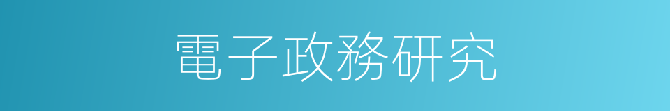 電子政務研究的同義詞