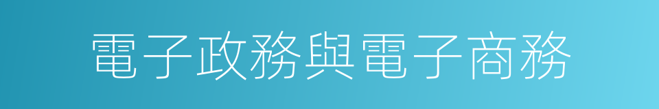 電子政務與電子商務的同義詞