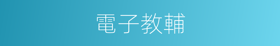 電子教輔的同義詞