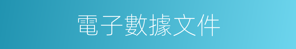 電子數據文件的同義詞