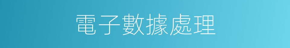 電子數據處理的同義詞