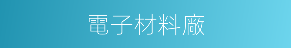 電子材料廠的同義詞