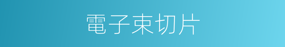 電子束切片的同義詞