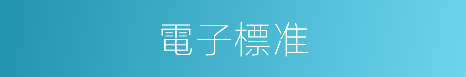 電子標准的同義詞