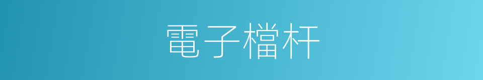 電子檔杆的同義詞