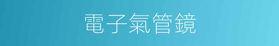 電子氣管鏡的同義詞