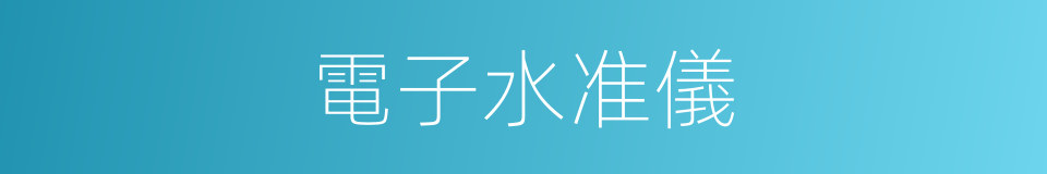 電子水准儀的同義詞