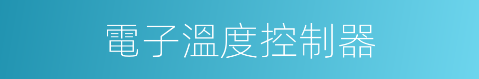 電子溫度控制器的同義詞