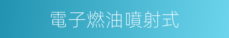 電子燃油噴射式的同義詞